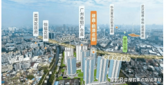 它们大概不是最顶尖